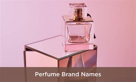 namebrandsperfume photos|name brands perfume.